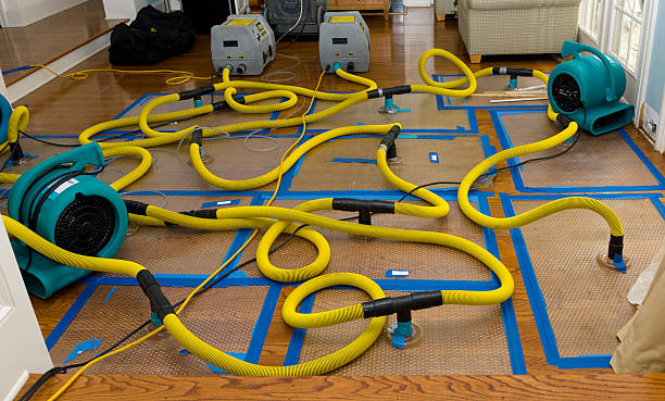 Professional Water Damage Restoration technician working in Archer, IA